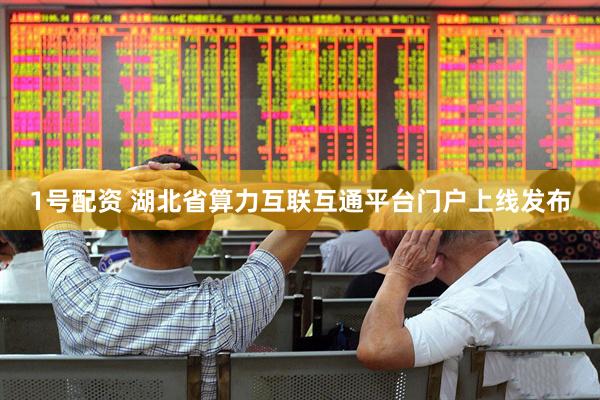 1号配资 湖北省算力互联互通平台门户上线发布