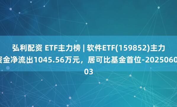 弘利配资 ETF主力榜 | 软件ETF(159852)主力资金净流出1045.56万元，居可比基金首位-20250603