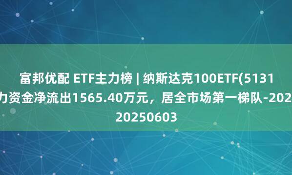 富邦优配 ETF主力榜 | 纳斯达克100ETF(513110)主力资金净流出1565.40万元，居全市场第一梯队-20250603
