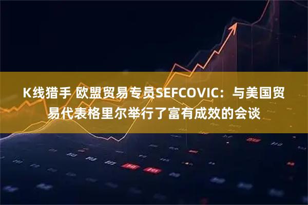 K线猎手 欧盟贸易专员SEFCOVIC：与美国贸易代表格里尔举行了富有成效的会谈