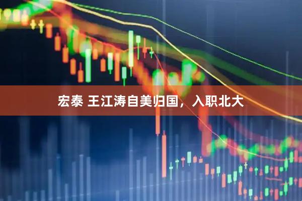 宏泰 王江涛自美归国，入职北大