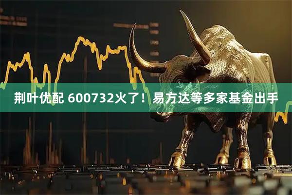 荆叶优配 600732火了！易方达等多家基金出手