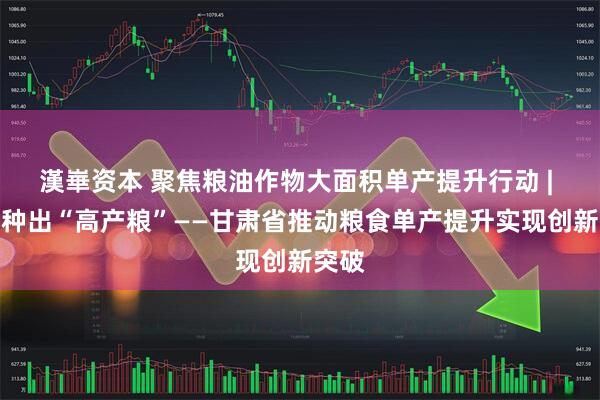 漢崋资本 聚焦粮油作物大面积单产提升行动 | 科技种出“高产粮”——甘肃省推动粮食单产提升实现创新突破