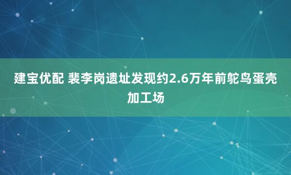 建宝优配 裴李岗遗址发现约2.6万年前鸵鸟蛋壳加工场