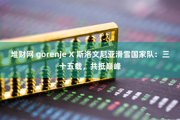 堆财网 gorenje X 斯洛文尼亚滑雪国家队：三十五载，共抵巅峰